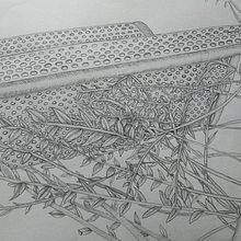 Detalles de nuestro entorno. Pencil Drawing project by Sandra Lorenzo - 11.24.2022
