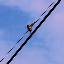 Mi proyecto del curso: Escritura de guion para cine y televisión. Un progetto di Cinema, video e TV, Scrittura, TV, Produzione audiovisiva, Script, Narrativa, Scrittura di narrativa fiction e Scrittura creativa di Saúl Alfonso Petrearce Monroy - 25.11.2022