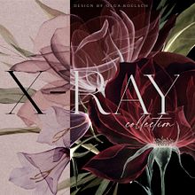 Watercolor Transparent Flowers. Traditional illustration, Fine Arts, Patternmaking, and Dressmaking project by Olga Koelsch - 06.01.2021