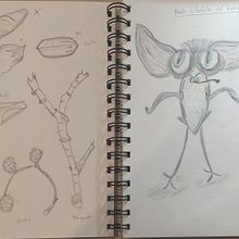 Mi proyecto del curso: Sketchbook de naturaleza fantástica: dibuja criaturas de otro mundo. Pencil Drawing, Drawing, Watercolor Painting, Sketchbook, and Naturalistic Illustration project by Gloria Candioti - 11.26.2022
