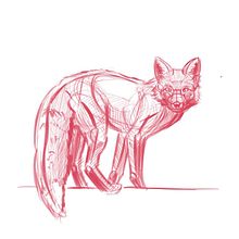 Mój projekt z kursu: Ilustrowanie zwierząt: uchwyć dziką przyrodę w szkicowniku. Projekt z dziedziny Trad, c, jna ilustracja,  Kolaż, Sketchbook, Ilustracja naturalist i czna użytkownika klaudia_gacek - 26.11.2022