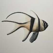 Mein Abschlussprojekt für den Kurs: Aquarellillustration von Meereswelten . Projekt z dziedziny Trad, c, jna ilustracja,  Malarstwo, Malowanie akwarelą, Ilustracja naturalist i czna użytkownika Christiane - 26.11.2022