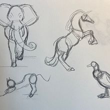 D.A: Estudio de Animales. Een project van Tekening met potlood van Carla Villamana - 27.11.2022