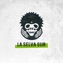 Video Promo | La Selva Sur. Un projet de Animation 2D, Motion design, Musique , et Publicité de Alicia Díaz - 04.03.2022