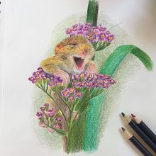 Les amis de l'été Ein Projekt aus dem Bereich Traditionelle Illustration von Marie-Amélie Perez - 10.08.2022