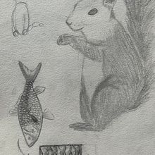  Proyecto 2 BA - Estudio de animales. Traditional illustration project by Ivet Martínez - 11.27.2022