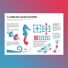 The Seahorse’s Tail - A cauda do cavalo marinho. Graphic Design, Information Design, Interactive Design & Infographics project by Cristian Arantes - 11.25.2022
