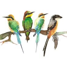 My project for course: Artistic Watercolor Techniques for Illustrating Birds. Un progetto di Illustrazione tradizionale, Pittura ad acquerello, Disegno realistico e Illustrazione naturalistica di Upasana Saigal - 28.11.2022