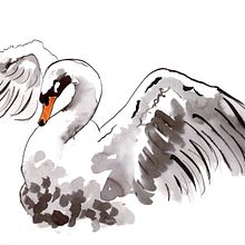 The 100th Swan. Traditional illustration, Painting, Drawing, Watercolor Painting, Ink Illustration, and Naturalistic Illustration project by Eileen Laurie - 11.28.2022
