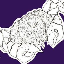 Mein Abschlussprojekt für den Kurs: Tägliches Sketching für kreative Inspiration . Ilustrație tradițională, Schițe, Creativitate, Desen și Caiet de schițe de Jennifer Lange - 11.28.2022