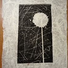 Diente de león. Collage, and Engraving project by Alejandra Toro Echeverría - 11.29.2022
