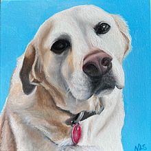 dogs. Fine Arts project by Natasha Lynn - 11.29.2022
