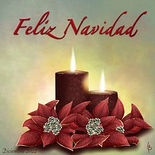 Cálida Navidad. Traditional illustration, Graphic Design, Social Media, Creativit, Drawing, Digital Illustration, Printing, Artistic Drawing, Instagram, and Digital Design project by Laura Barquet Fernández - 11.29.2022