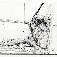 My project for course: Dip Pen and Ink Illustration: Capturing The Natural World. Sketching, Drawing, Artistic Drawing, Sketchbook, Ink Illustration, and Naturalistic Illustration project by Adriana Delgado - 11.29.2022