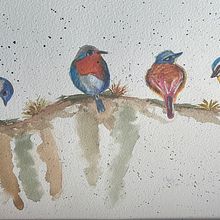 Mi proyecto del curso: Acuarela artística para ilustración de aves Ein Projekt aus dem Bereich Aquarellmalerei, Traditionelle Illustration, Realistische Zeichnung und Naturalistische Illustration von Wima Dathe - 29.11.2022