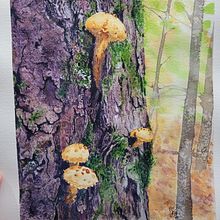 My project for course: The Art of Watercolor: Paint Your Vision of the World: Secrets of Nature. Projekt z dziedziny Trad, c, jna ilustracja,  Sztuki piękne,  Malarstwo i Malowanie akwarelą użytkownika Nathalie Girard - 26.11.2022