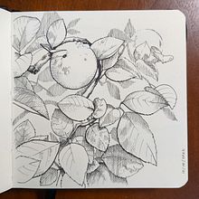 My project for course: Illustrated Diary: Fill Your Sketchbook with Experiences. Projekt z dziedziny Trad, c, jna ilustracja, Sketching,  R, sunek, Sketchbook,  R i sunek atramentem użytkownika not_important - 02.12.2022