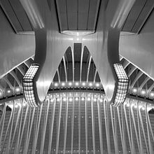 Estructuras Biomiméticas by Itamar Sánchez . % itamarsanchez_g tarafından hazırlanan Fotoğrafçılık projesi - 11.04.2022
