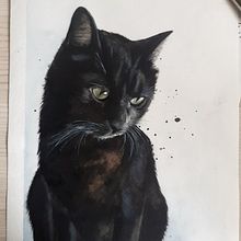 Il mio progetto del corso: Ritratti espressivi di animali ad acquerello. Projekt z dziedziny Trad, c, jna ilustracja, R, sunek realist, czn, Ilustracja naturalist, czna i Malowanie akwarelą użytkownika mariellambrosini - 02.01.2022