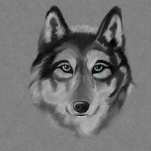 Lobo. Ilustração tradicional projeto de Robert GouGa - 04.12.2022