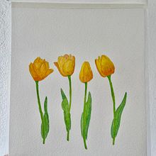 Meu projeto do curso: Aquarela botânica: ilustre a anatomia das flores. Een project van Traditionele illustratie,  Beeldende kunst, Schilderij,  Tekening, Aquarelschilderen y  Botanische illustratie van adv_amandasaraiva - 02.11.2022