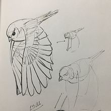 Meu projeto do curso: Desenho realista: aprenda a observar o mundo ao seu redor. Design, Traditional illustration, Fine Arts, Sketching, Pencil Drawing, and Realistic Drawing project by Gabriel Martins - 12.02.2022