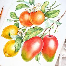 Watercolor Florals and Fruits for Monarte. Un progetto di Illustrazione tradizionale, Pittura ad acquerello e Fashion design di Katerina Kolberg - 01.02.2018