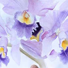 botanical watercolor : orchids. Botanical Illustration, and Watercolor Painting project by Ale bontempo - 12.06.2022