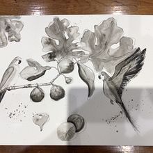 Los Figs : Mi proyecto del curso: Naturaleza ilustrada: una exploración creativa. Ilustração tradicional, Pintura, Desenho, Pintura em aquarela, Ilustração com tinta e Ilustração naturalista projeto de Dominique Rombaut - 06.12.2022