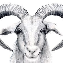 My project for course: Zodiac Illustration: Creating A Unique Series. Traditional illustration, Digital Illustration, Stor, and telling project by Valya Papadopoulou - 12.01.2022