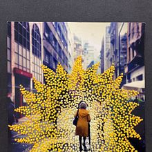 Meu projeto do curso: Introdução ao bordado em fotografias: crie imagens com texturas. Projekt z dziedziny Fotografia, Papercraft,  Haft, DIY, Wzornictwo tekst i liów użytkownika leilaccheuiche - 07.12.2022