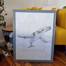 My project for course: Naturalist Illustration Techniques: Whales in Watercolor. Un progetto di Illustrazione tradizionale, Design di poster , Illustrazione digitale e Manga di Federica - 03.03.2022