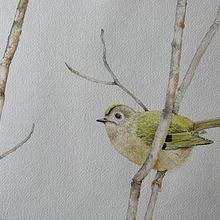 Watercolour Bird - Ruler. Watercolor Painting project by Suzanne Pedler - 12.08.2022