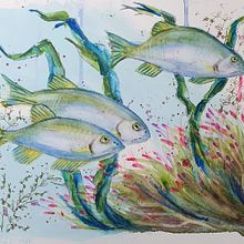 My project for course: Marine Universe Illustration in Watercolor. Traditional illustration, Painting, Watercolor Painting, and Naturalistic Illustration project by Esther Middel - 12.08.2022