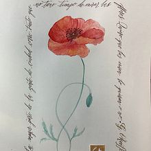 Mi proyecto del curso: Caligrafía moderna: crea letras con formas expresivas. Een project van Kalligrafie,  Belettering,  H y lettering van gadisel - 08.12.2022