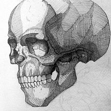 Mi proyecto del curso: Ilustración con tinta y plumilla: captura el mundo natural. Sketching, Drawing, Artistic Drawing, Sketchbook, Ink Illustration, Naturalistic Illustration, and Music project by José Alejandro Gutiérrez soza - 11.30.2022