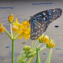 Mi proyecto del curso: Introducción al fotobordado: crea imágenes con textura . % Mariana Canossa tarafından hazırlanan Fotoğrafçılık, Kağıt El Sanatları, Nakış, Kendin Yap, Ve Tekstil Tasarımı projesi - 12.09.2022
