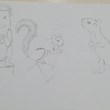 My project for course: Dynamic Animal Illustration for Children’s Stories. Un projet de Conception de personnages, Dessin au cra, on, Dessin et Illustration jeunesse de Laurice Haddad - 10.12.2022