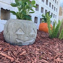 Maceta de Calabaza. Arts, Crafts, Furniture Design, Making, Interior Design, Interior Decoration, and DIY project by Stephanie Cancel - 12.08.2022