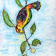 Drawings with Oil pastels, colored pencils, and brush pen. Projekt z dziedziny  R, sunek,  R, sunek art, st, czn,  Sztuki piękne, R, sunek ołówkiem, Ilustracja naturalist, czna, R i sunek botaniczn użytkownika Beant Kaur Dhillon - 13.12.2022