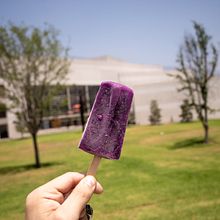 UDEM. Un projet de Photographie de Fernando Noriega - 13.12.2022