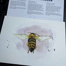 My project for course: Illustrating the Natural World with Watercolor and Charcoal. Traditional illustration, Painting, and Naturalistic Illustration project by Ivan Fuenmayor - 12.07.2022