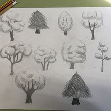 DA - Estudio de árboles. Een project van Traditionele illustratie van Mireia Ortigosa - 15.12.2022