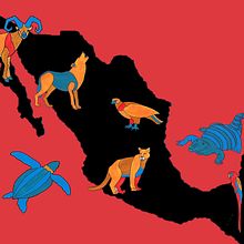 Mi proyecto del curso: Gimnasio de ilustración: encuentra tu estilo. Un progetto di Illustrazione tradizionale, Creatività e Sketchbook di María Enriqueta Gómez Ávila - 15.12.2022