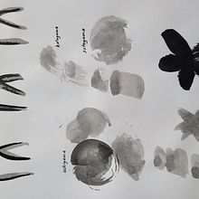My project for course: Introduction to Sumi-e Painting. Un projet de Illustration traditionnelle, Beaux Arts, Peinture, Dessin et Illustration à l'encre de Noeleen Regazzoli - 16.12.2022