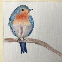 My project for course: Artistic Watercolor Techniques for Illustrating Birds. Traditional illustration, Watercolor Painting, Realistic Drawing, and Naturalistic Illustration project by Rose Doucet - 12.16.2022