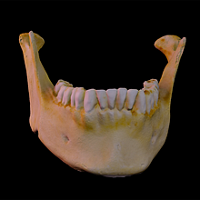 Meu projeto do curso: Introdução à fotogrametria 3D. 3D, 3D Modeling, Video Games, 3D Design, and Game Design project by Alexandre Bernardo - 12.16.2022