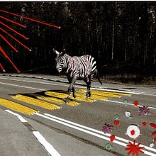 Mein Abschlussprojekt für den Kurs: Einführung in das Besticken von Fotos: Bilder mit Textur. Un proyecto de Fotografía, Papercraft, Bordado, DIY y Diseño textil de chillodogmomo - 18.12.2022
