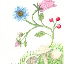 Mein Abschlussprojekt für den Kurs: Realistische Blumenaquarelle. Traditional illustration, Painting, Drawing, Watercolor Painting, and Botanical Illustration project by Ulrich Ludwig - 12.18.2022