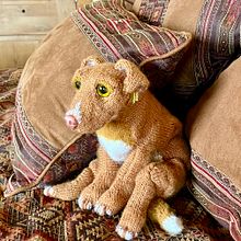 My project for course: Knitting Realistic Stuffed Animals: Make a Puppy from Yarn. Fiber Arts, DIY, Knitting, and Textile Design project by Lois Garrett - 12.19.2022